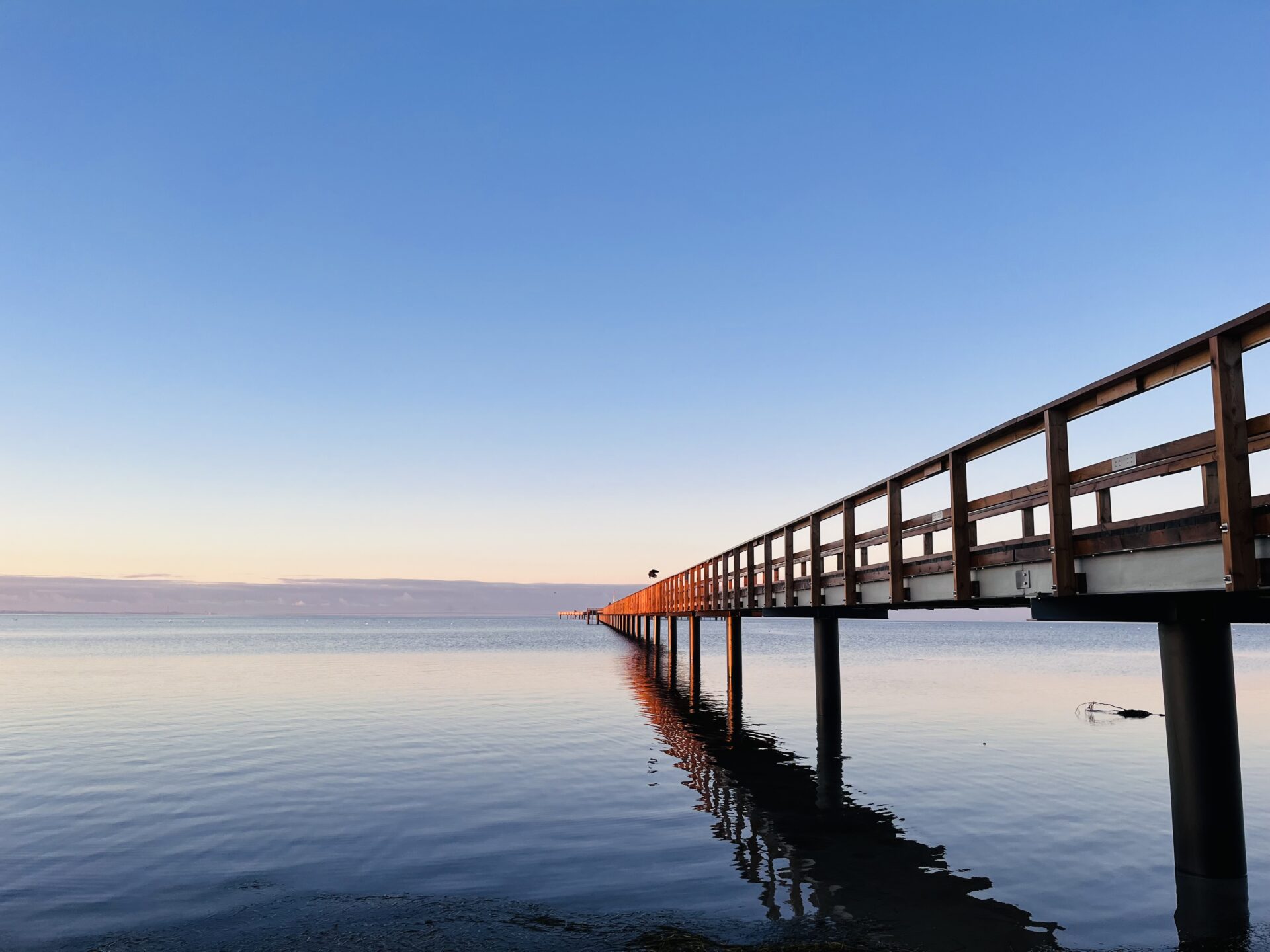 Discovering Bjärred: Coastal Charm, Scenic Trails, and Top Dining